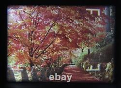 All Late MINT Mamiya Universal Press Sekor P 127mm f/4.7 Lens 6x9 Back JAPAN