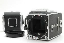 EXC+++++Hasselblad 500 CM C/M Body with A12, A24 Film Back Magazine From JAPAN