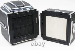 Ex++ Japan Star Hasselblad 501cm Medium Format SLR Camera + A12 Film Back withBox