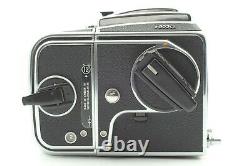 MINT? Hasselblad 503CX Medium Format Camera + A12 Type III Film Back From JAPAN