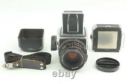 Mint Hasselblad 500CM C/M Camera + CF 80mm f/2.8 + A12 II Film Back From JAPAN